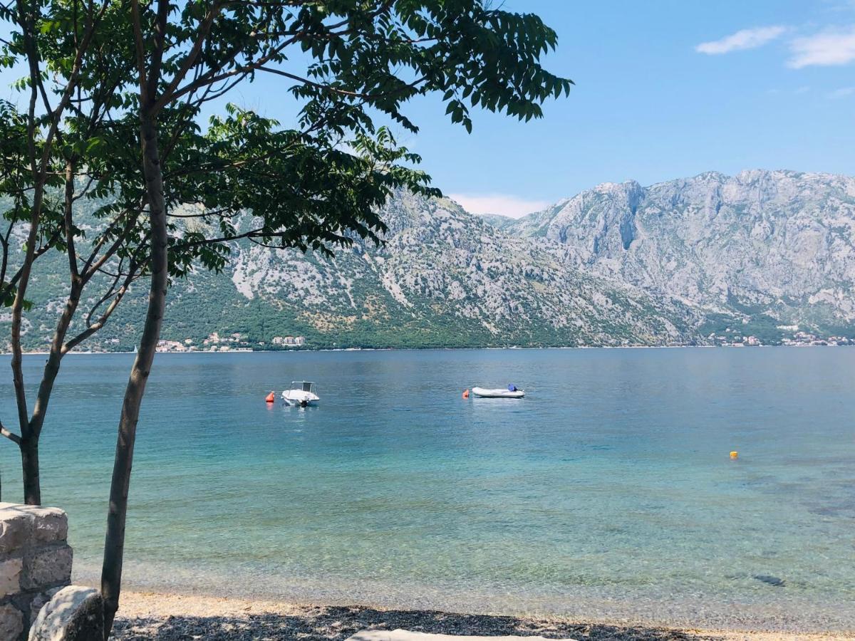 Villa Milami Kotor Exterior foto